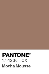 Pantone Color of the Year Mocha Mousse